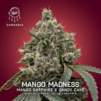 Sins Of slots 500 casino